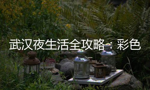 茶道美学：武汉品茶网教你品味茶叶的艺术